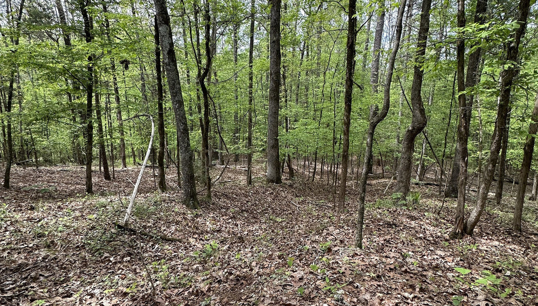 Prime Development Opportunity on Smith Rd