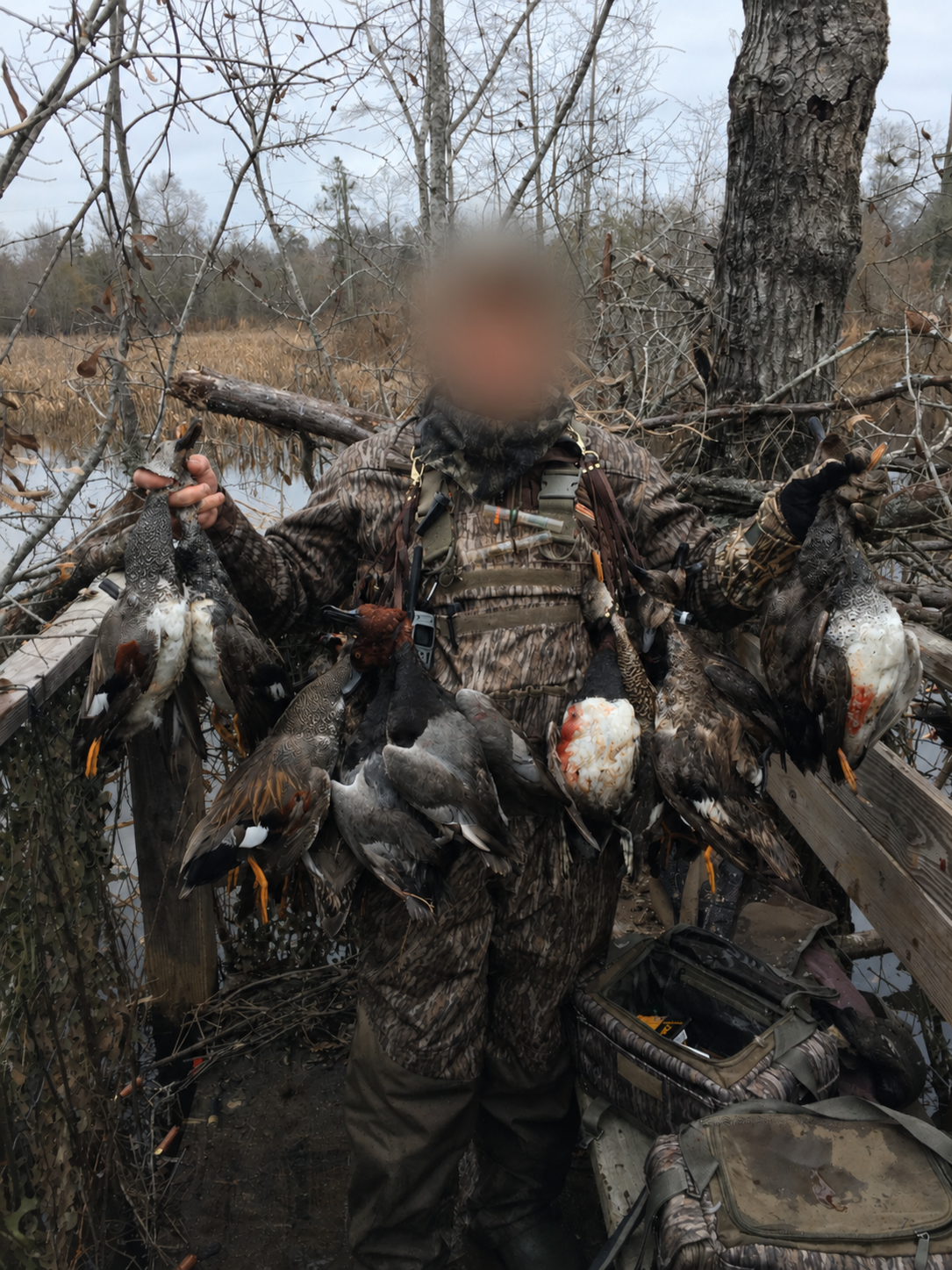 The Waterfowl Haven