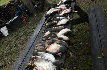 The Waterfowl Haven-27