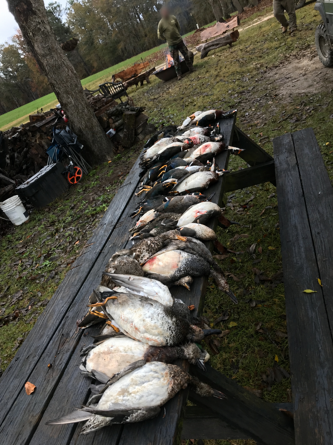 The Waterfowl Haven