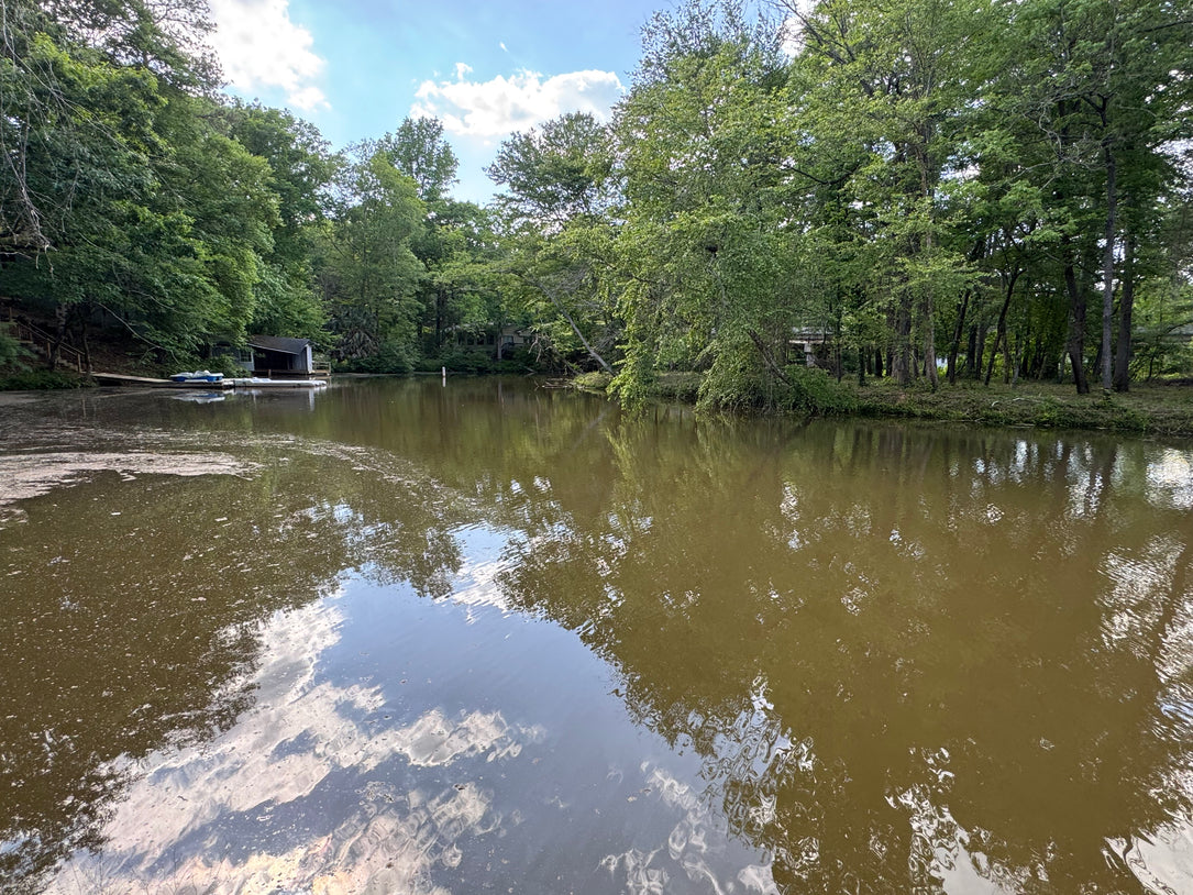 Waterfront Living on Lake Harding - Charming Rustic Cabin Retreat with Modern Comforts
