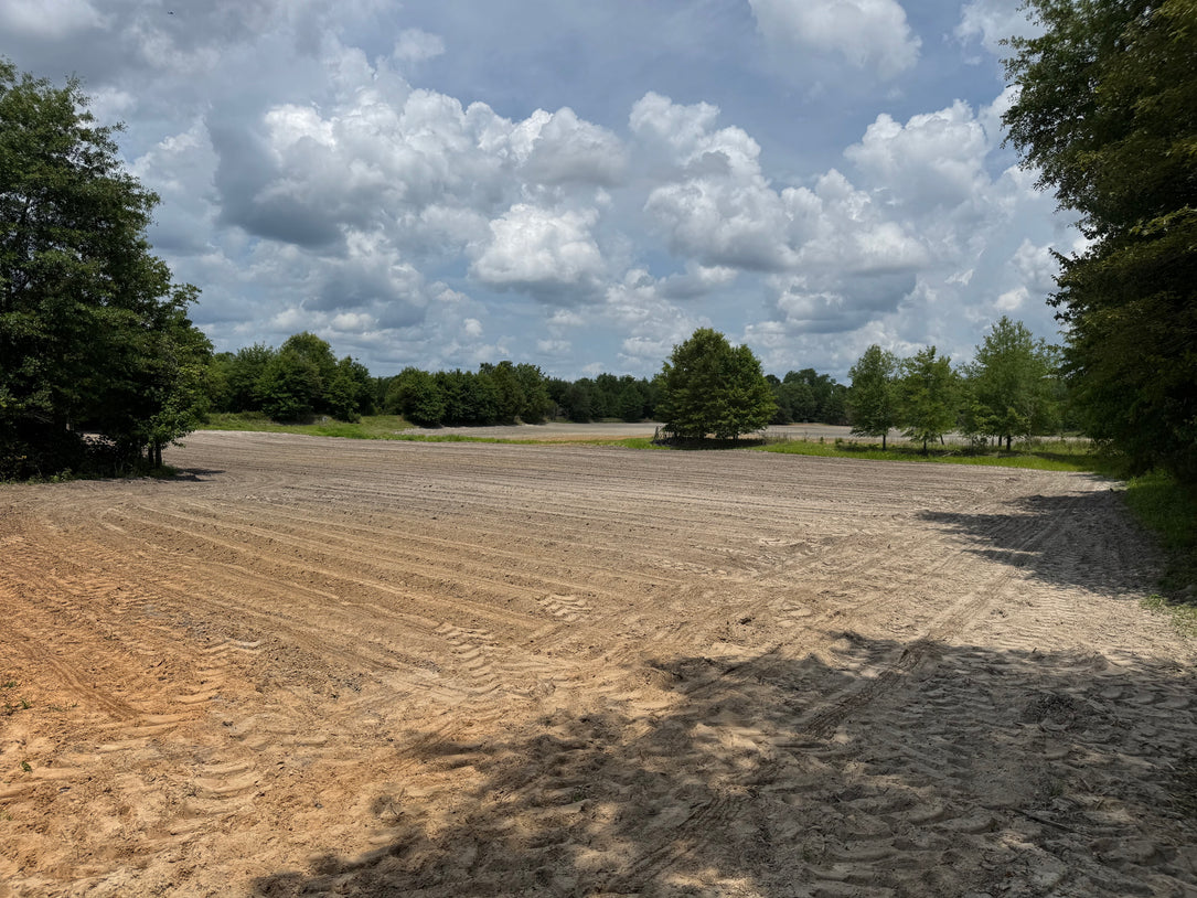 The Waterfowl Haven