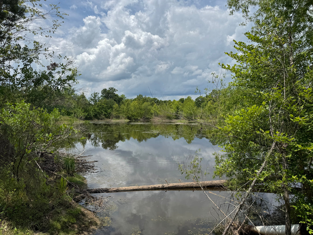 The Waterfowl Haven