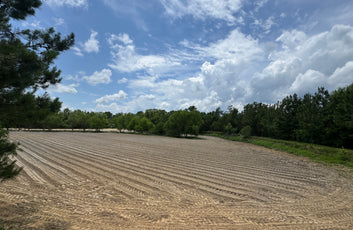 The Waterfowl Haven-12