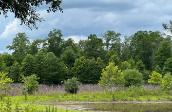 The Waterfowl Haven-18