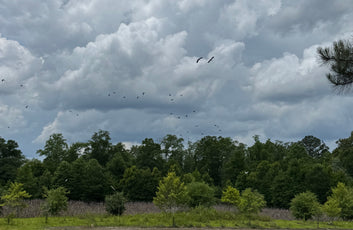 The Waterfowl Haven-17