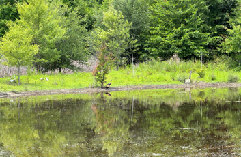 The Waterfowl Haven-14