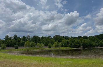 The Waterfowl Haven-15