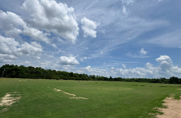 Turnkey Sod Farm & Waterfowl Property-8
