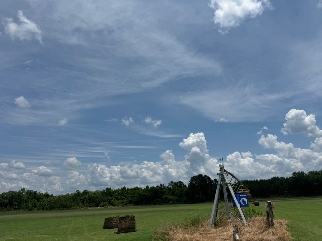 Turnkey Sod Farm & Waterfowl Property