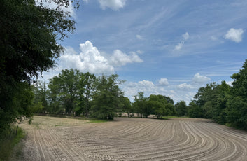 Turnkey Sod Farm & Waterfowl Property-13