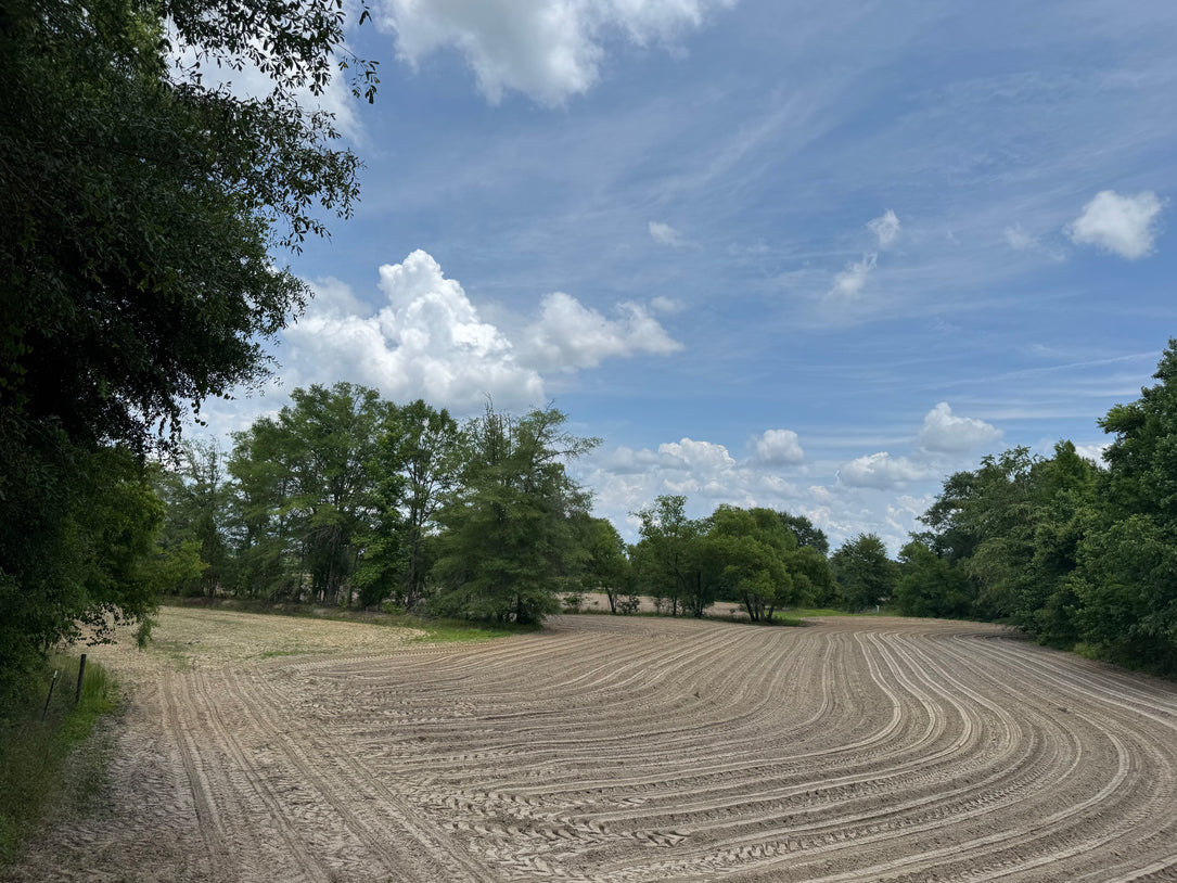 Turnkey Sod Farm & Waterfowl Property