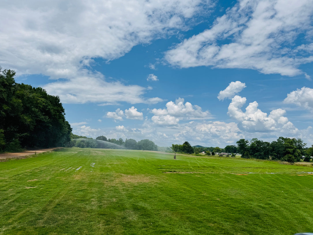 Turnkey Sod Farm & Waterfowl Property