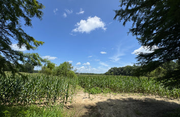 Turnkey Sod Farm & Waterfowl Property-11