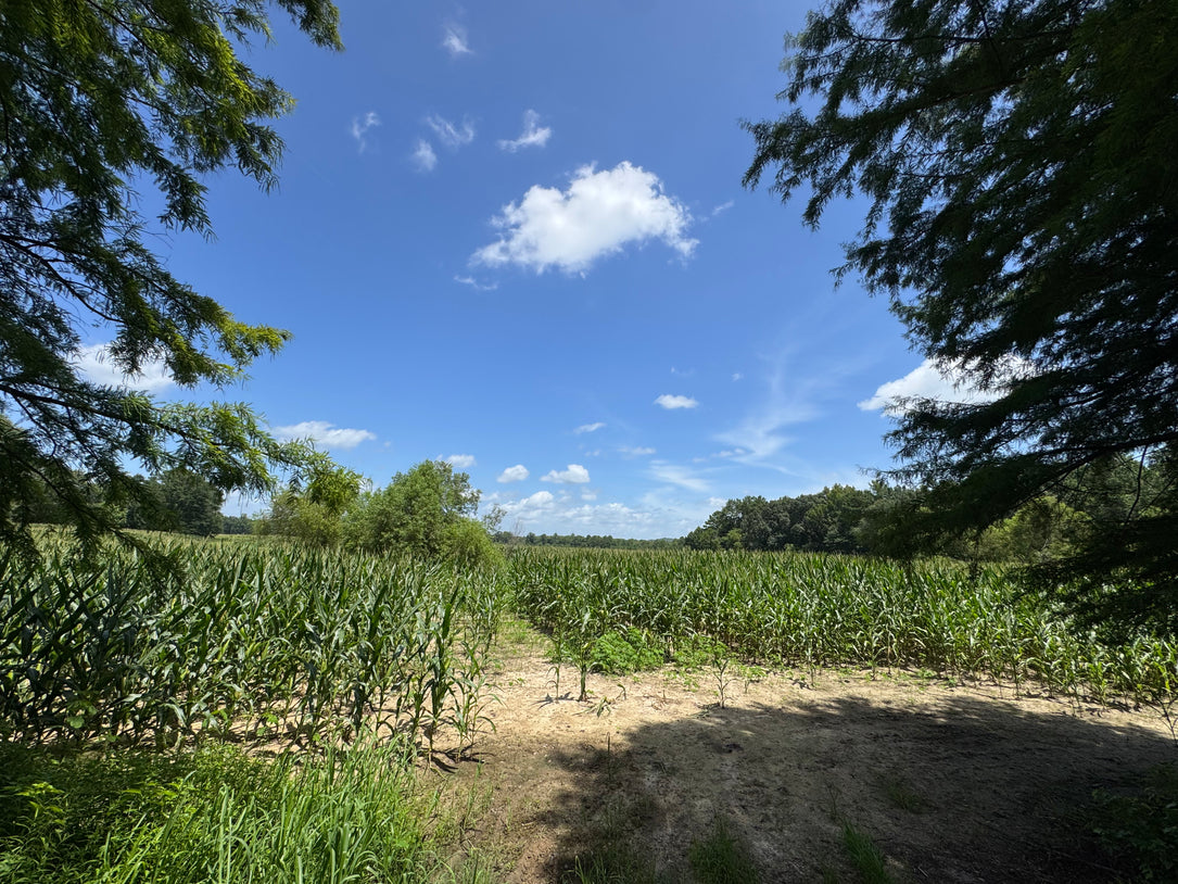 Turnkey Sod Farm & Waterfowl Property