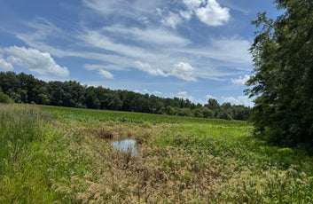 Turnkey Sod Farm & Waterfowl Property-13