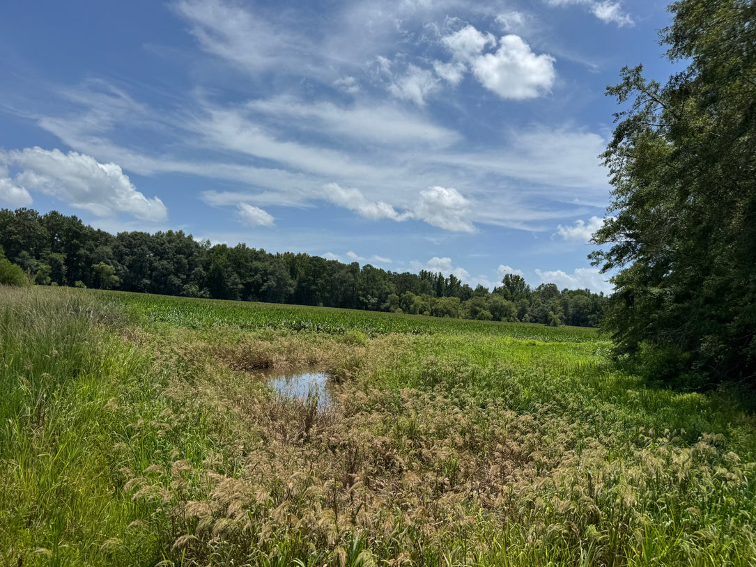 Turnkey Sod Farm & Waterfowl Property