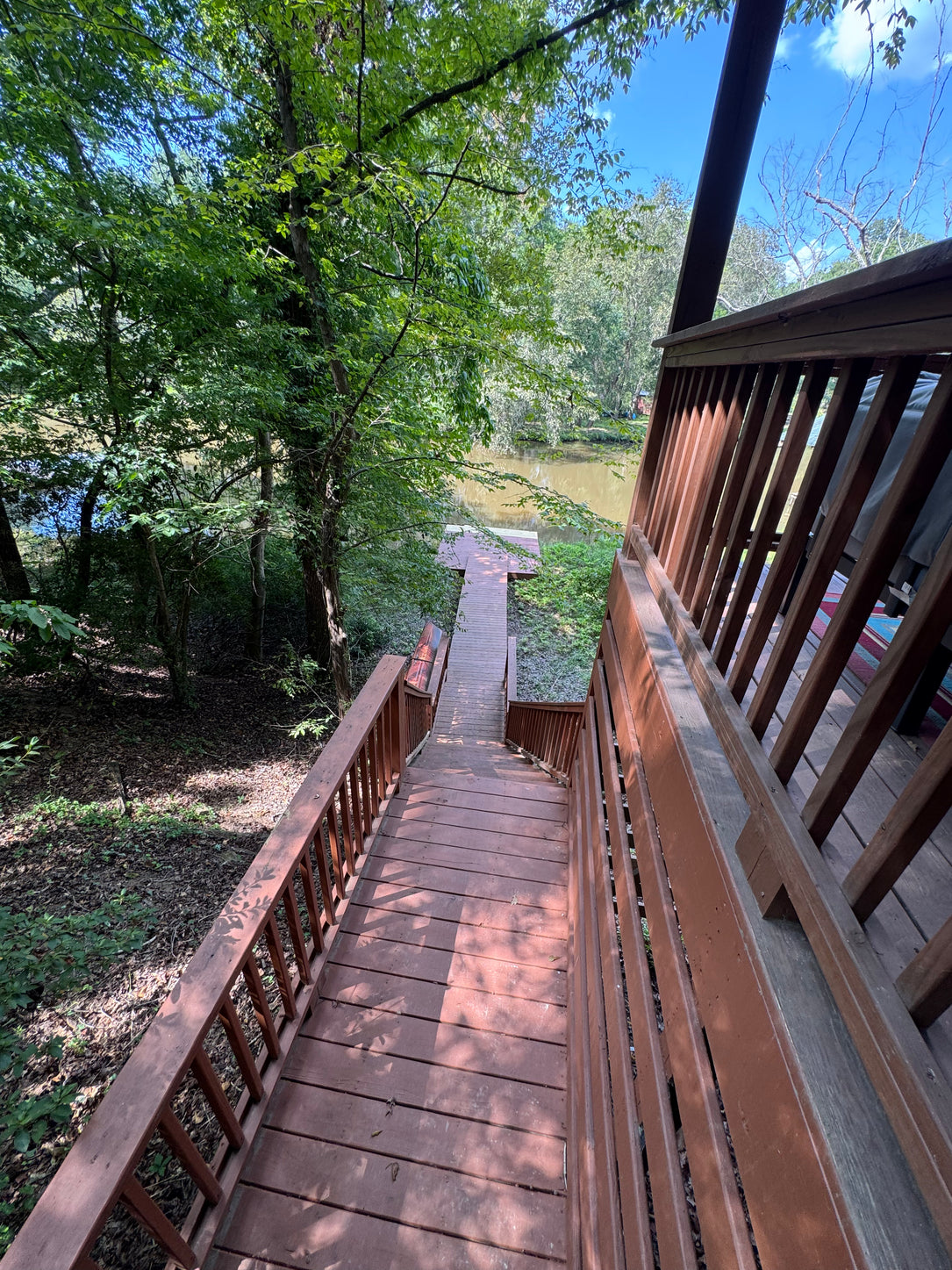 Secluded Lake Life