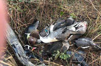 The Waterfowl Haven-40