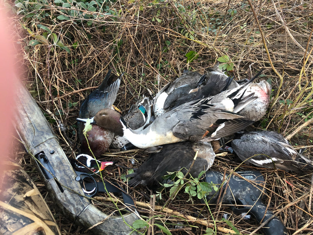 The Waterfowl Haven