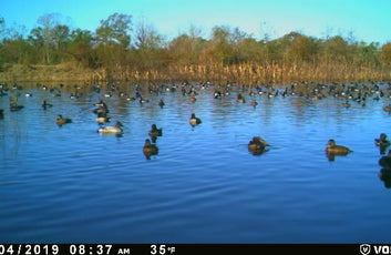 The Waterfowl Haven-21