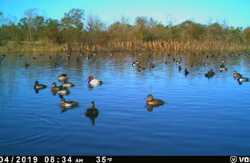 The Waterfowl Haven-20