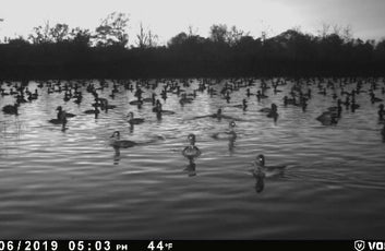 The Waterfowl Haven-22