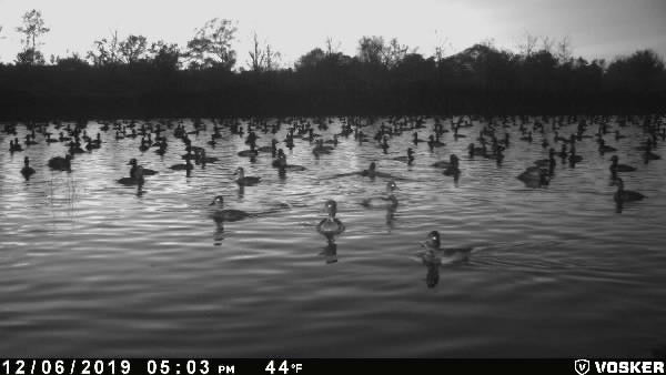 The Waterfowl Haven