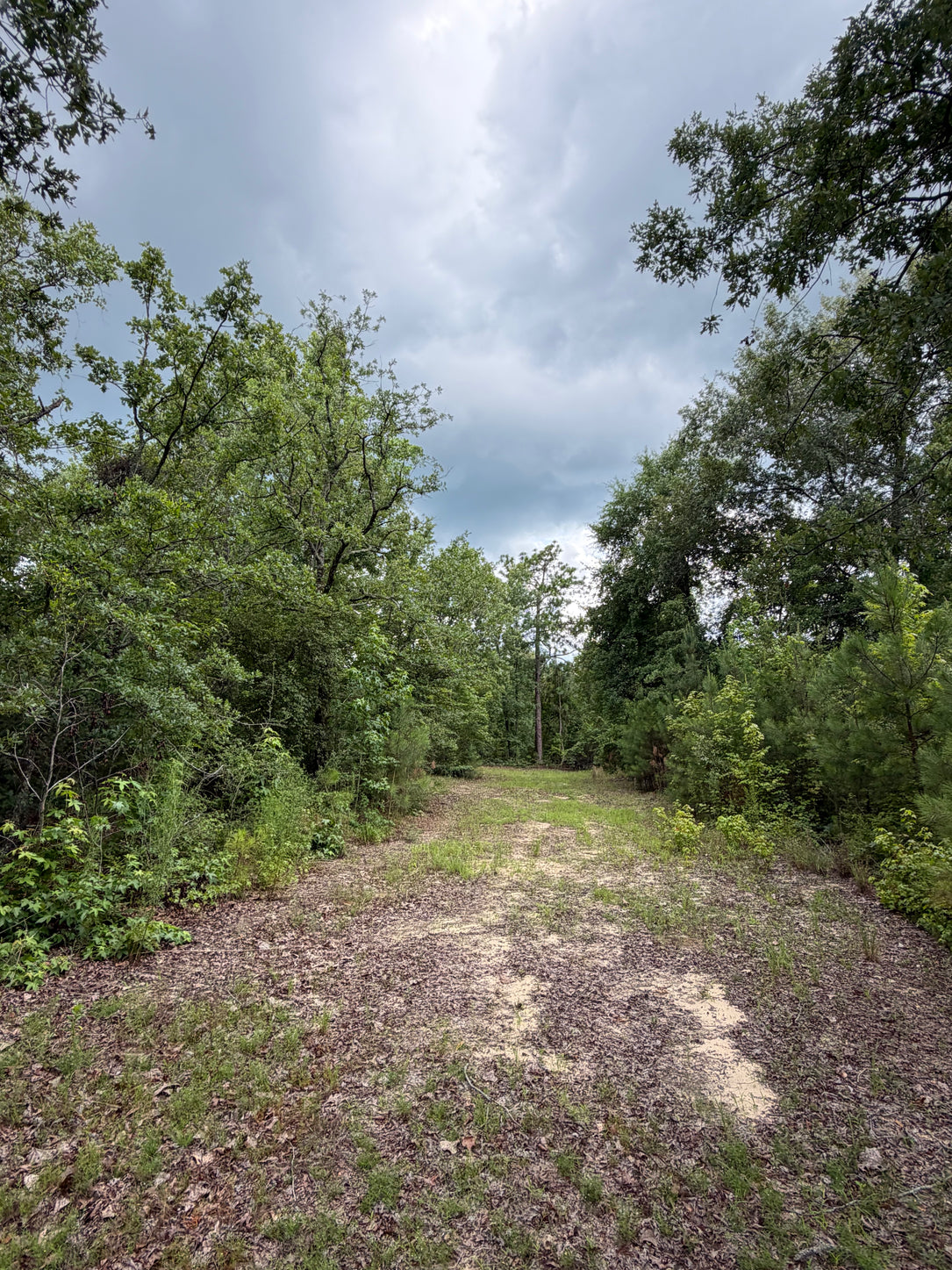 The Macon County 40