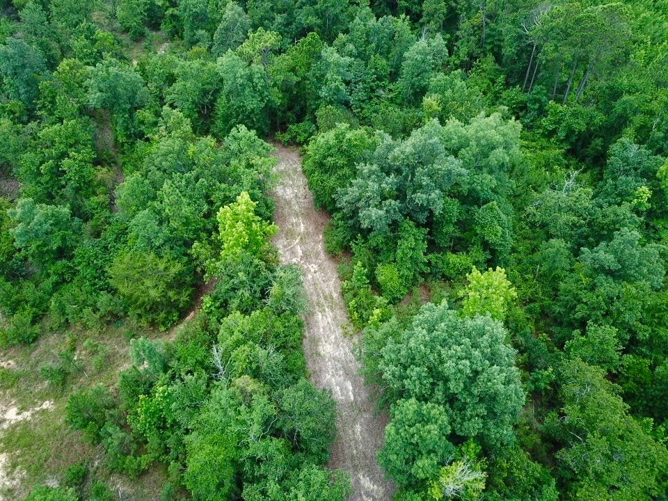 The Macon County 40
