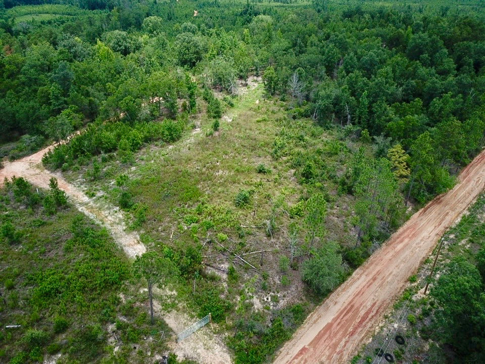 The Macon County 40