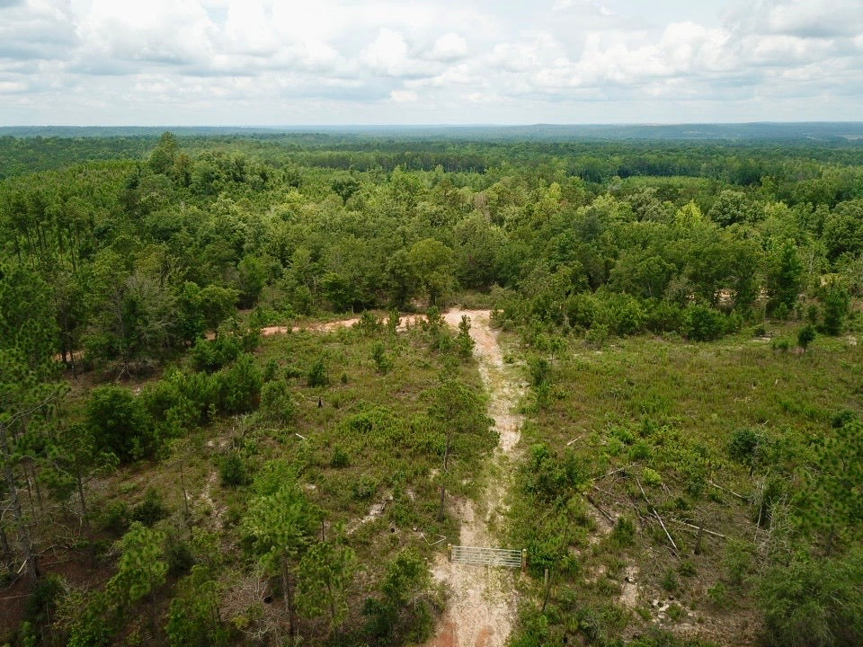 The Macon County 40