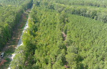 Affordable 5.1 Acres in Harris County on Hwy 103-3