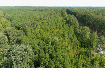 Affordable 5.1 Acres in Harris County on Hwy 103-4