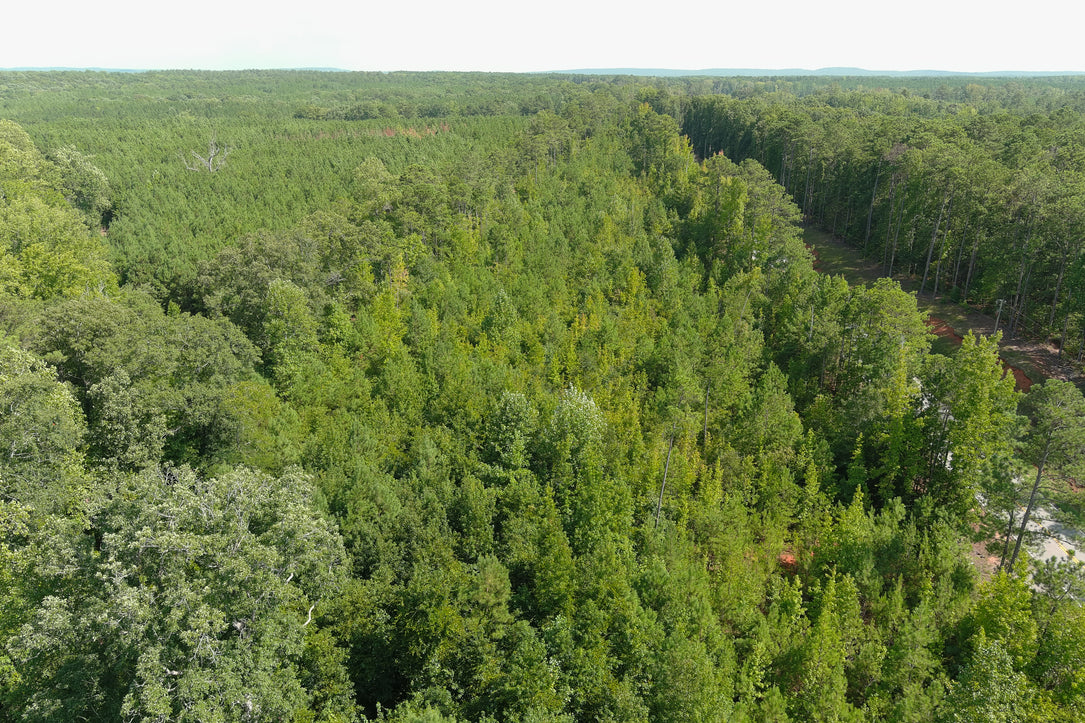 Affordable 5.1 Acres in Harris County on Hwy 103