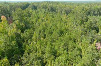 Affordable 5.1 Acres in Harris County on Hwy 103-6