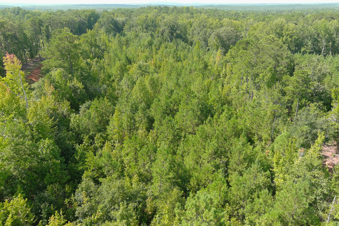 Affordable 5.1 Acres in Harris County on Hwy 103