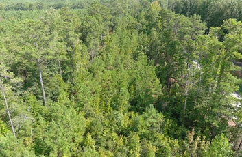 Affordable 5.1 Acres in Harris County on Hwy 103-5