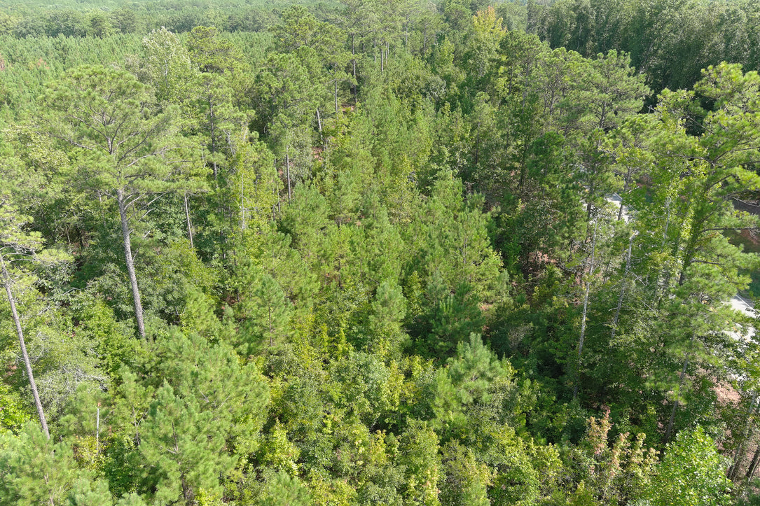 Affordable 5.1 Acres in Harris County on Hwy 103