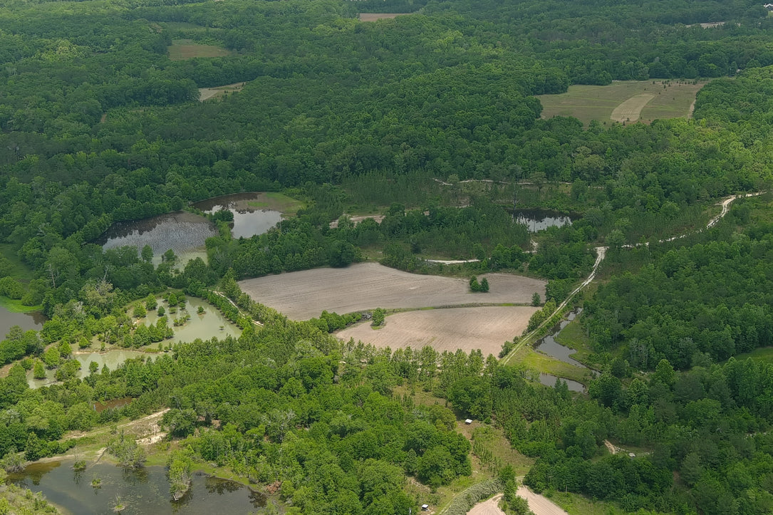 The Waterfowl Haven