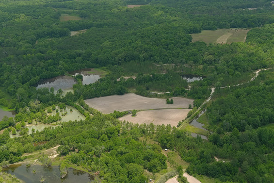 The Waterfowl Haven