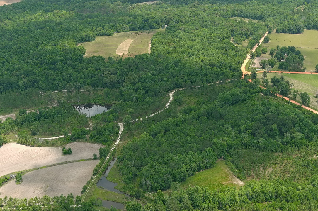 The Waterfowl Haven