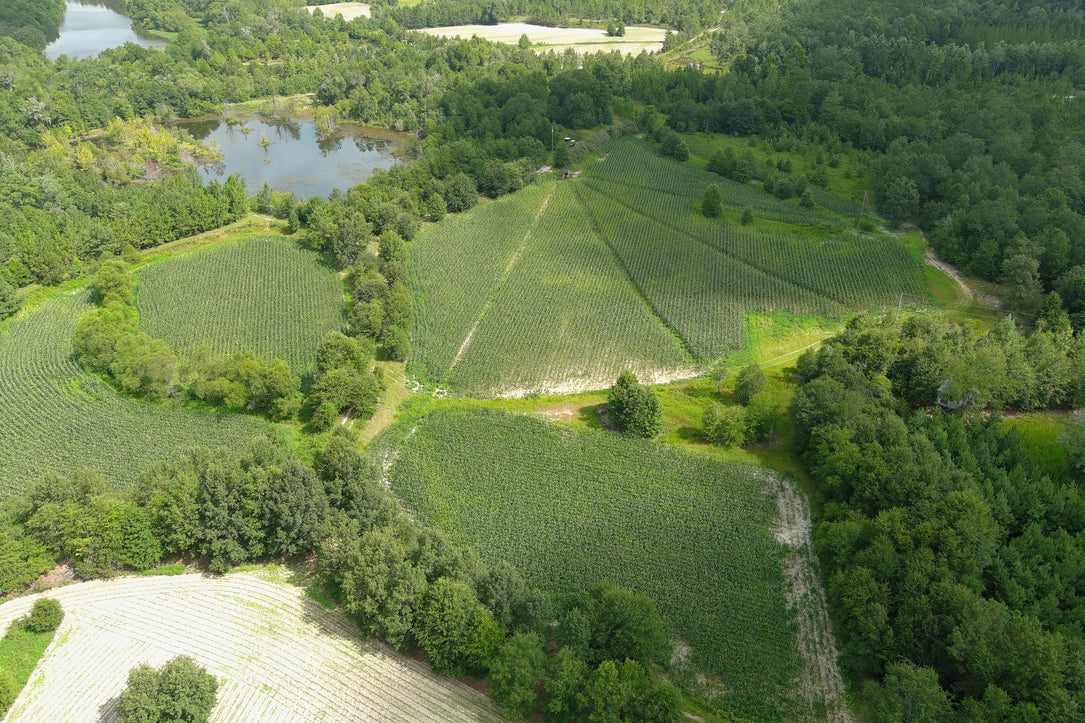 The Waterfowl Haven