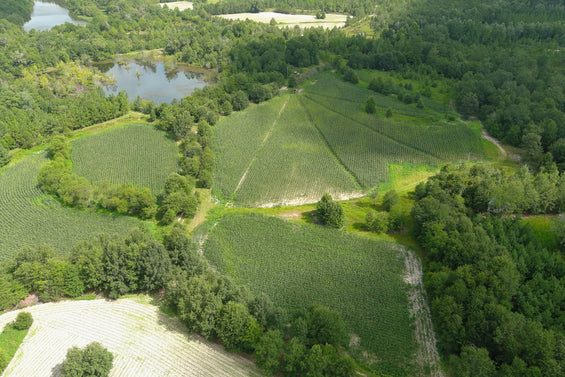 The Waterfowl Haven
