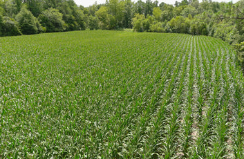 Turnkey Sod Farm & Waterfowl Property-10