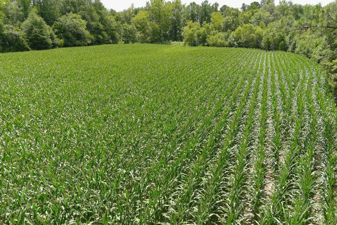 Turnkey Sod Farm & Waterfowl Property