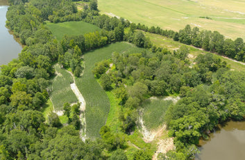 Turnkey Sod Farm & Waterfowl Property-9