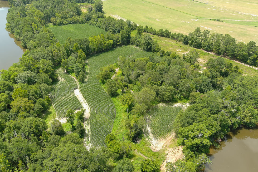 Turnkey Sod Farm & Waterfowl Property