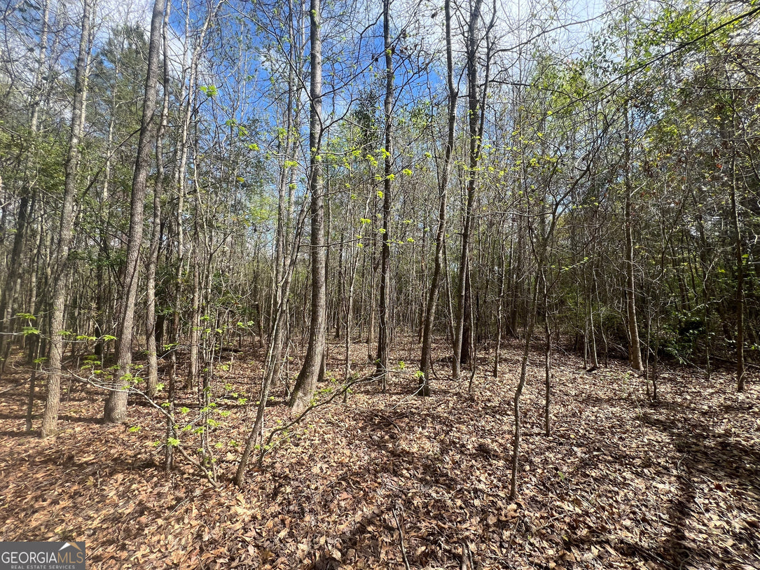 21 Acre Undeveloped Land