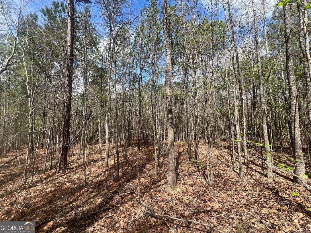 21 Acre Undeveloped Land